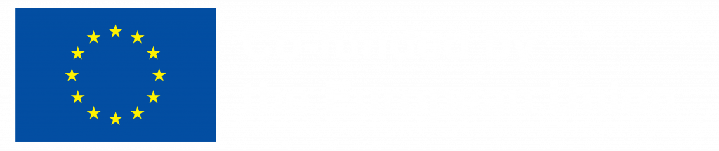Co-funded by European union logo. In logo you can see blue flag with starts and the text mention earlier.