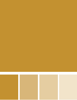 FAIR secondary colors (squares with different shades of red gold)