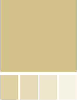 FAIR main colors (squares with different shades of light gold)