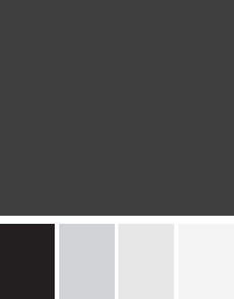 FAIR secondary colors (squares with different shades of grey and black)