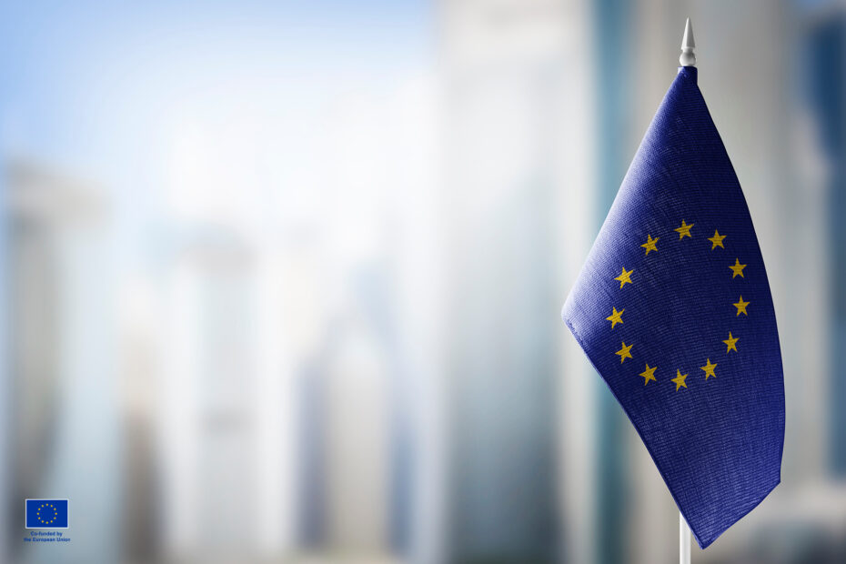 The European Union flag on a light blurry background