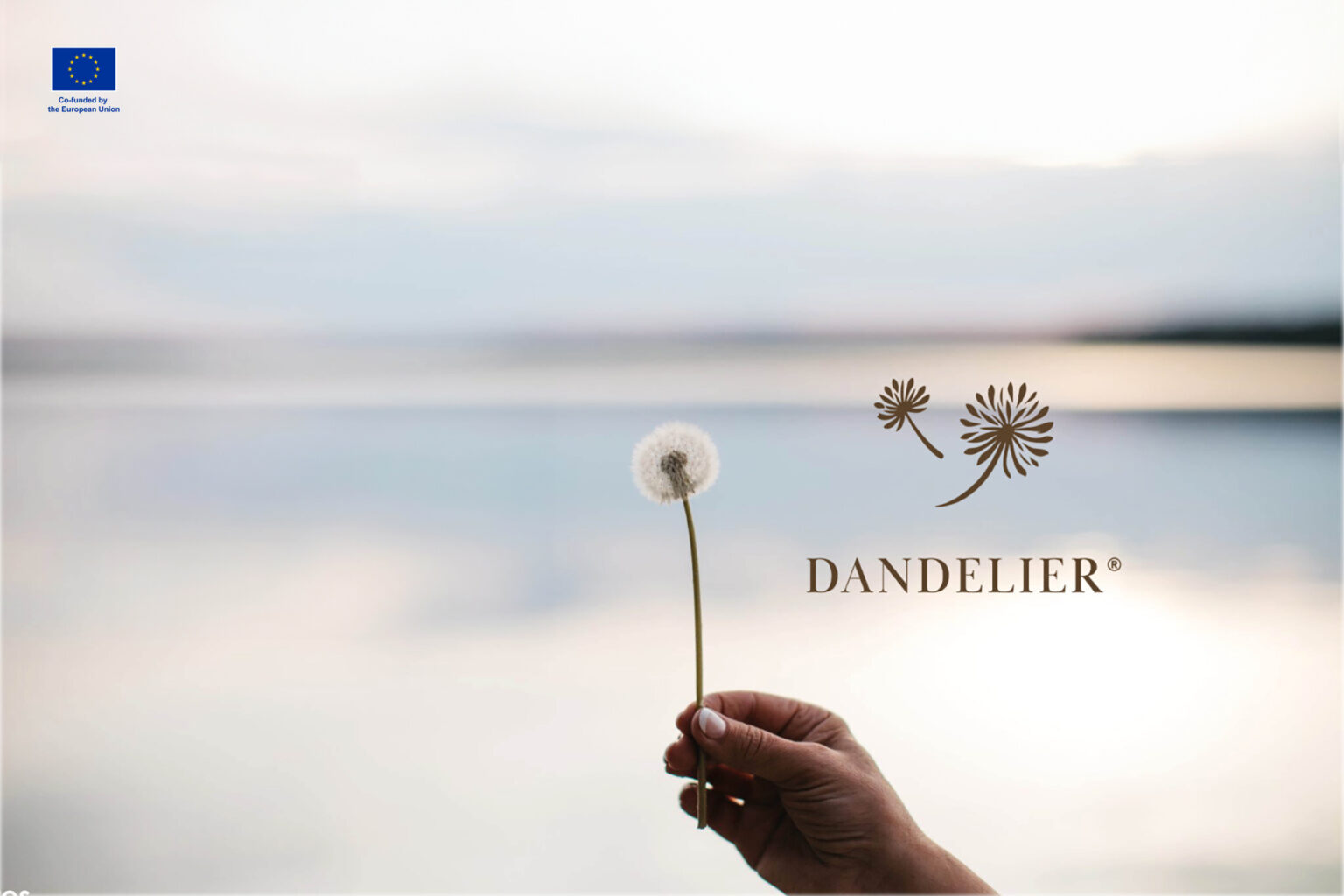 Käsi joka pitää kuihtunutta voikukkaa kädessää. Taustalla seesteinen ja kirjas taivas. Dandelierin logo.