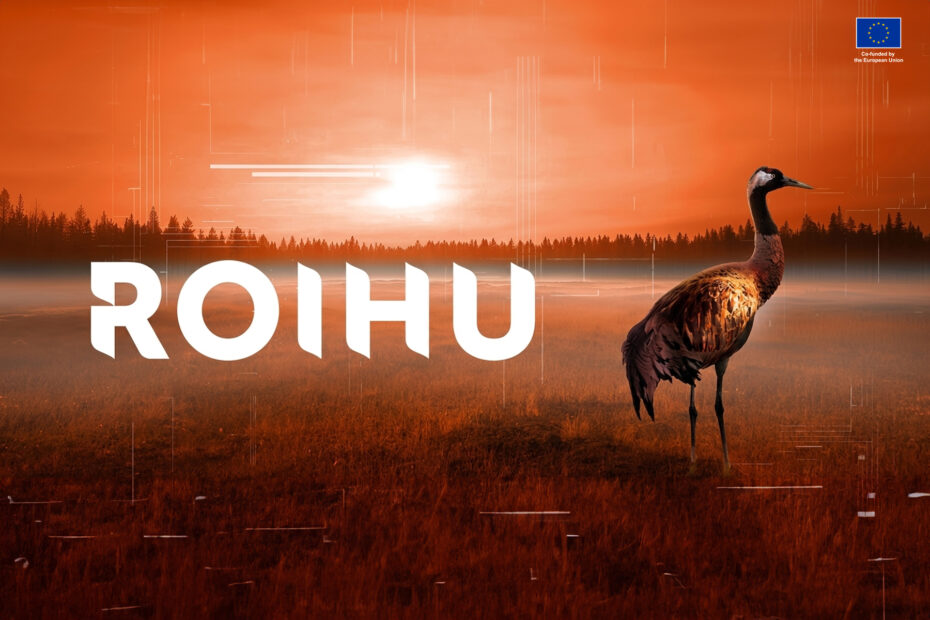 Brand picture of Roihu with a stunning sunset, text Roihu in it and a bird.