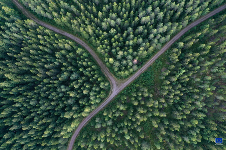 Aerial view of crossroads in a forest in Finland
