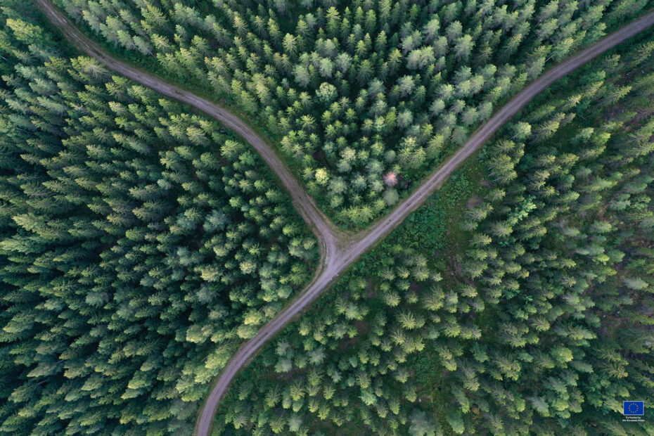 Aerial view of crossroads in a forest in Finland